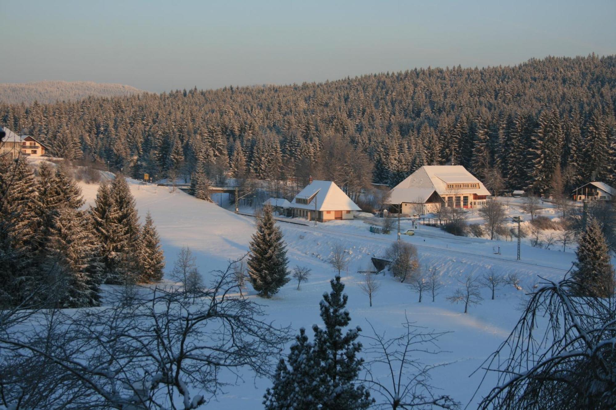 Hotel Waldeck Mit Restaurant "Florian'S" Feldberg  Exterior photo